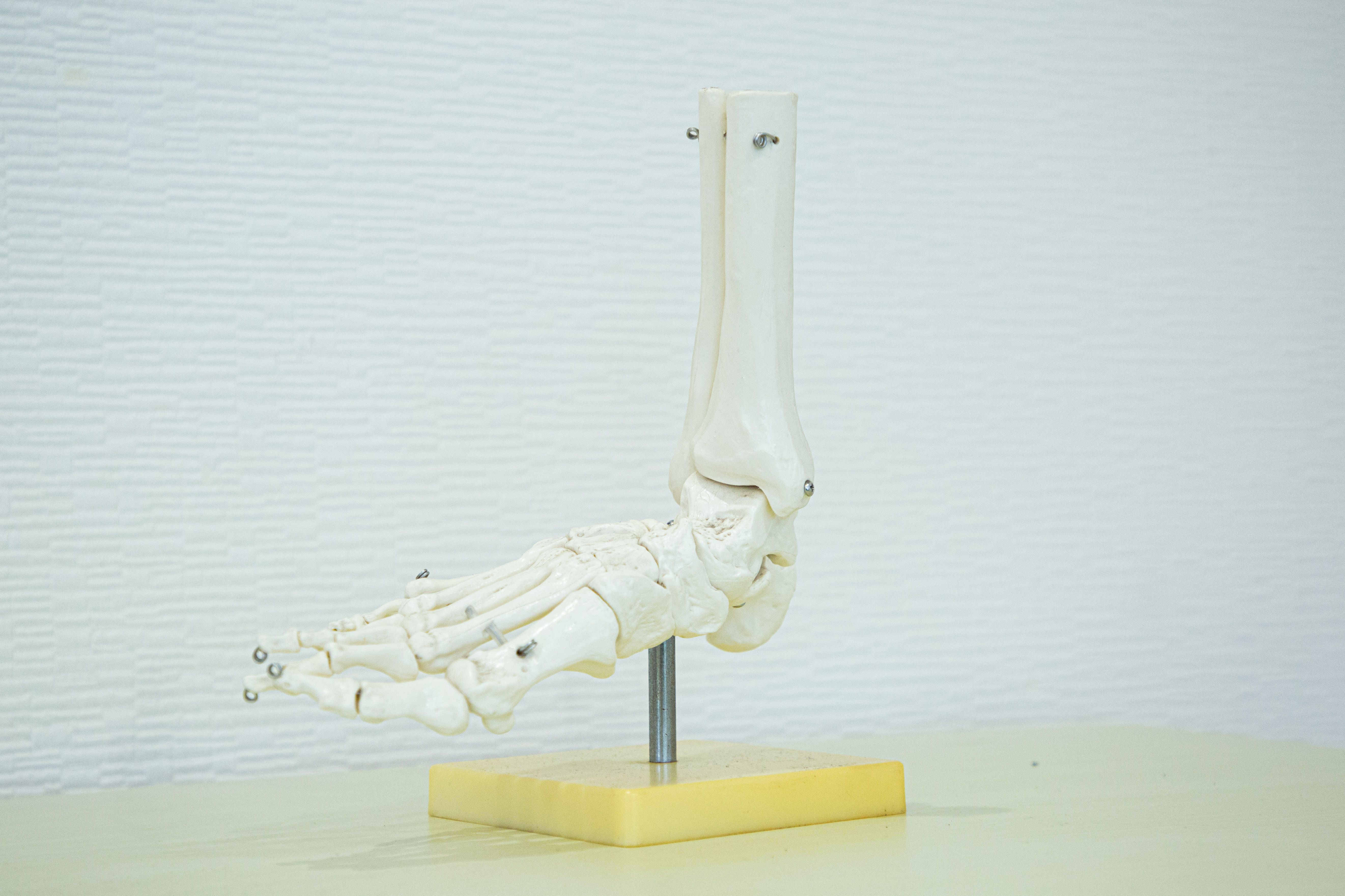 お知らせ・キャンペーン
